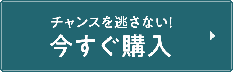 チャンスを逃さない！今すぐ購入